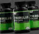 Трибулус для мужчин: эффект для либидо и тестостерона