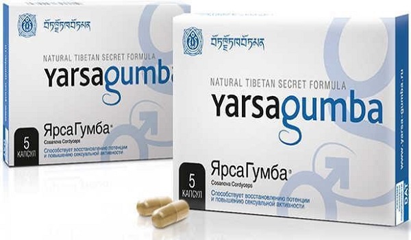 Ярсагумба - препарат для улучшении потенции